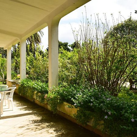 La Cecia - Casa Vacanze Nella Campagna Salentina Cavallino di Lecce Bagian luar foto