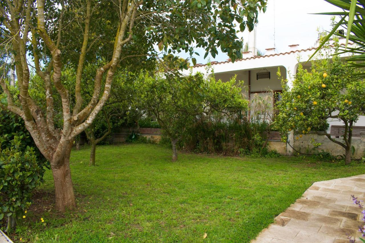 La Cecia - Casa Vacanze Nella Campagna Salentina Cavallino di Lecce Bagian luar foto