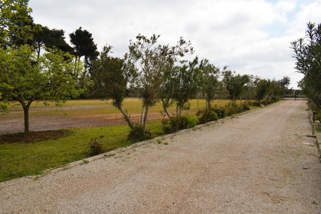 La Cecia - Casa Vacanze Nella Campagna Salentina Cavallino di Lecce Bagian luar foto